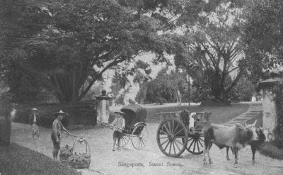街道上人力车、牛车与小贩的景象，1900年代