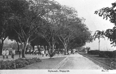 滨海地带，1920年代