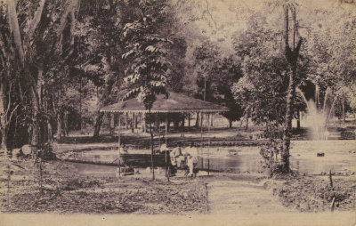 植物园，1900年代