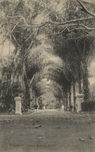 植物园入口，1900年代
