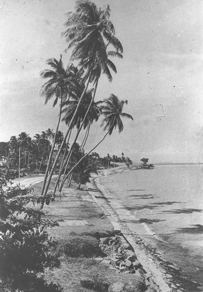 丹绒加东的海滩，1920年代